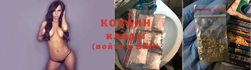 мориарти клад  купить наркотик  Новое Девяткино  Cocaine Columbia 