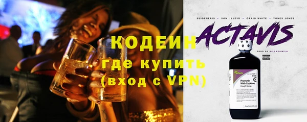 прущие грибы Покров