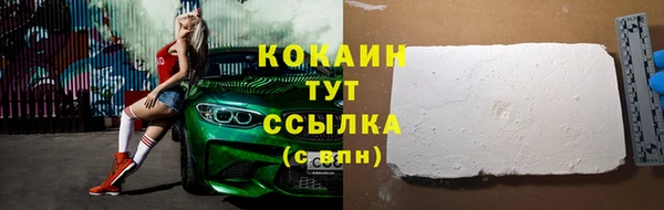 Альфа ПВП Пересвет