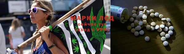 прущие грибы Покров
