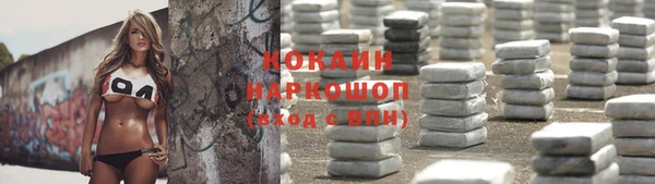 прущие грибы Покров