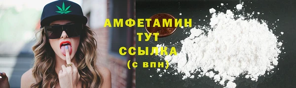 прущие грибы Покров