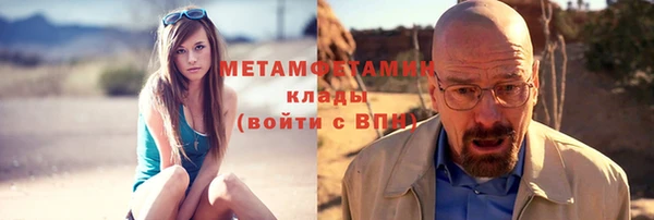 прущие грибы Покров