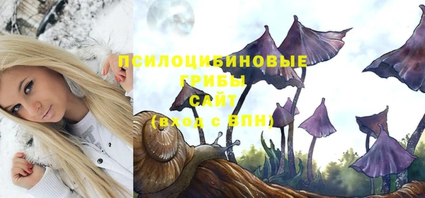 ПСИЛОЦИБИНОВЫЕ ГРИБЫ Покачи