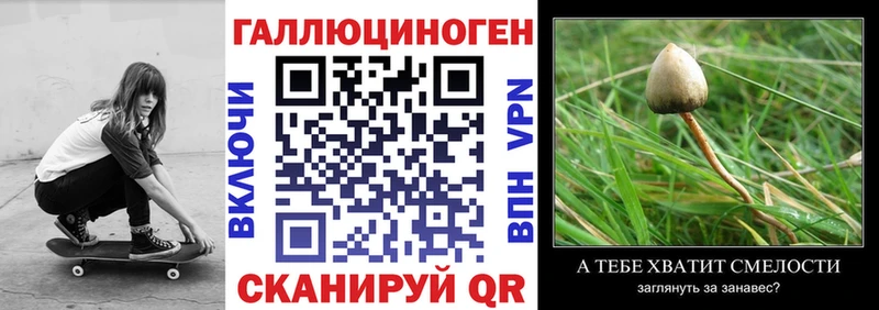 Псилоцибиновые грибы ЛСД  Новое Девяткино 