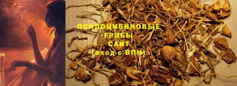 MEGA ССЫЛКА  Новое Девяткино  Псилоцибиновые грибы Psilocybe  магазин   