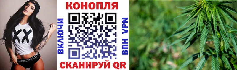 купить   Новое Девяткино  Бошки Шишки THC 21% 